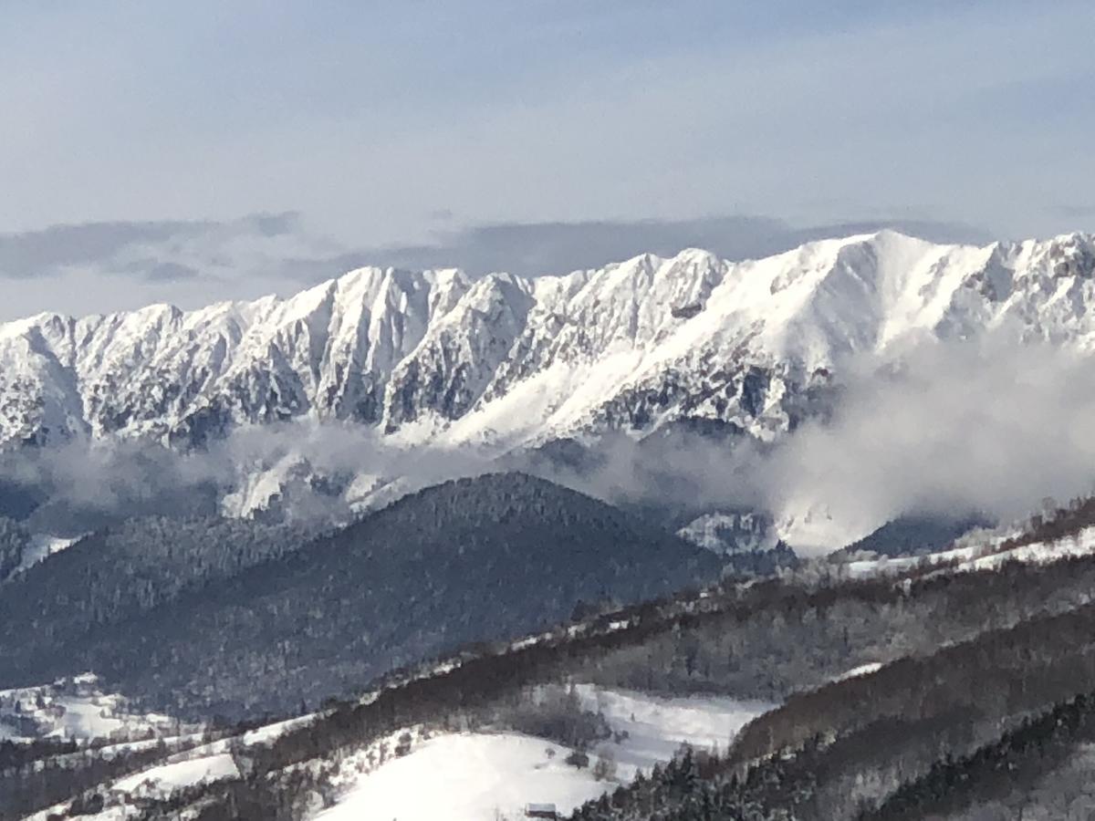 Bran Monte Crai Chalet المظهر الخارجي الصورة
