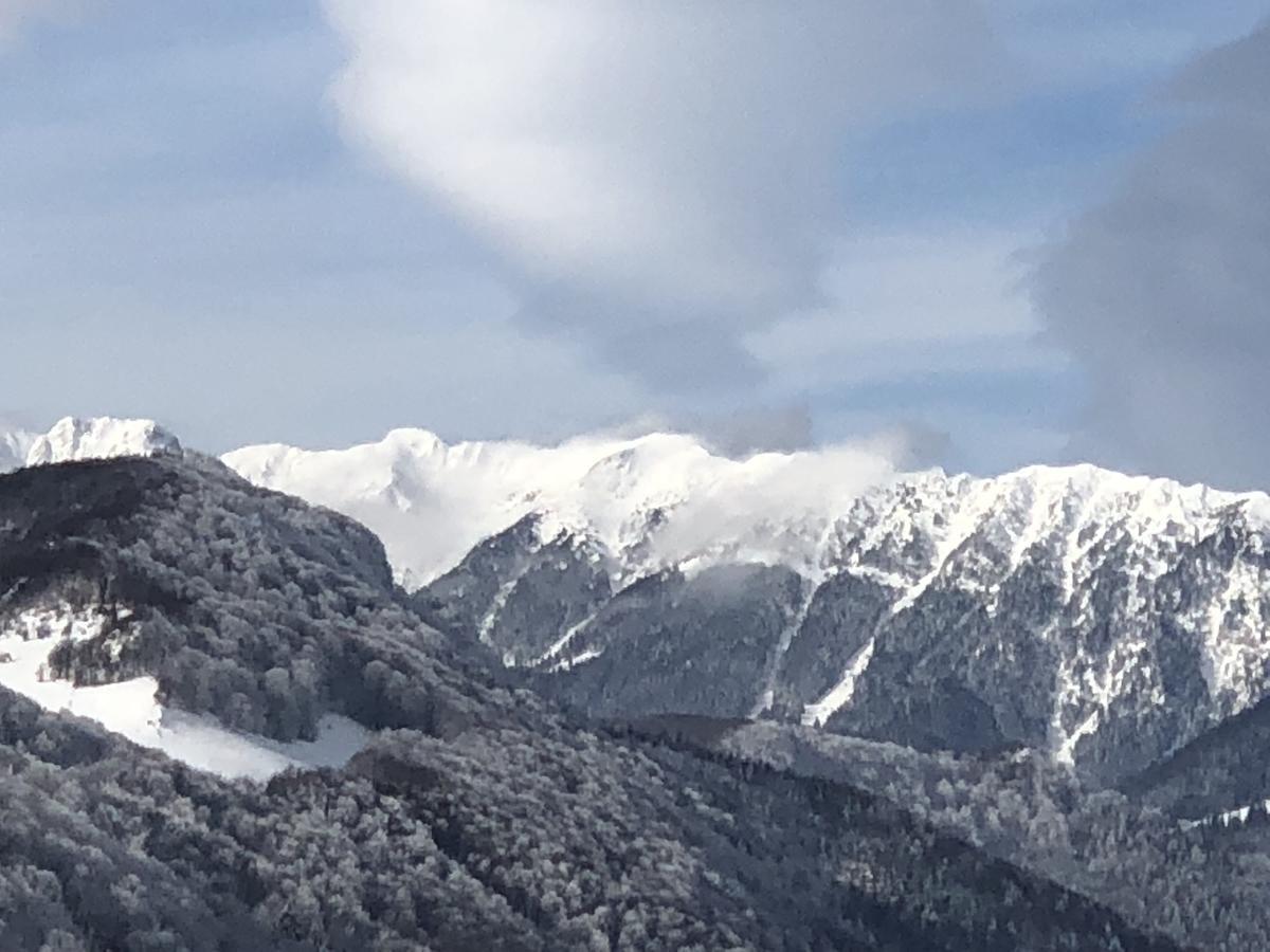 Bran Monte Crai Chalet المظهر الخارجي الصورة